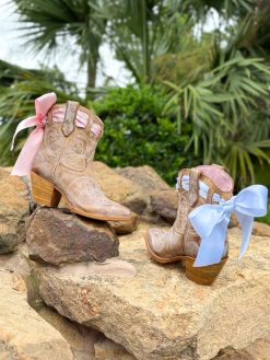 Alternative view of The Taylor